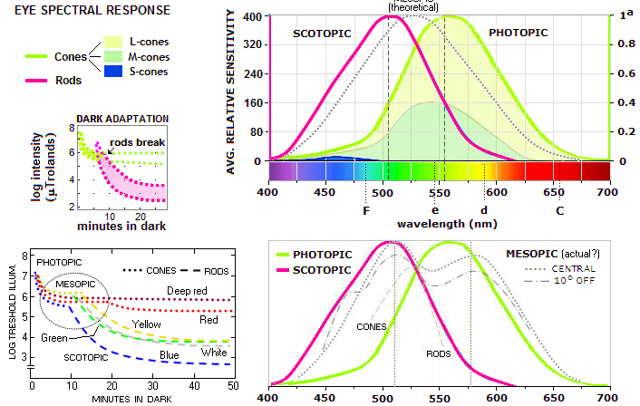 Spectral sensitivity hi-res stock photography and images - Alamy